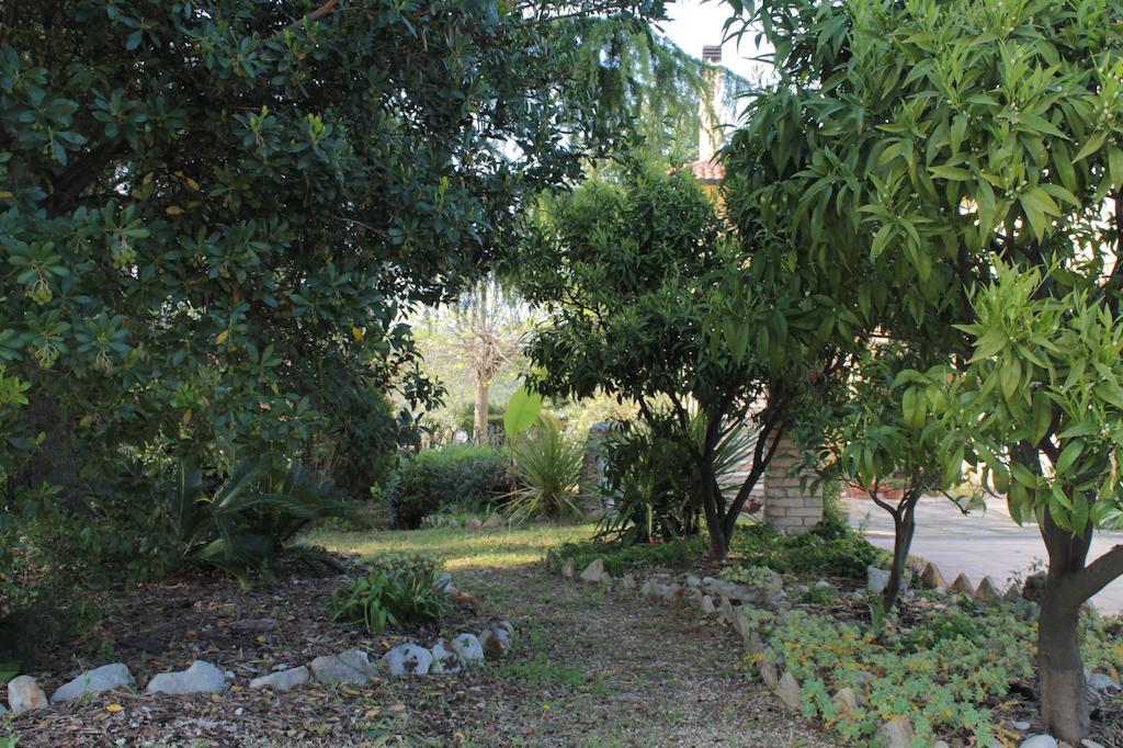 B&B Azzurra Пескара Экстерьер фото