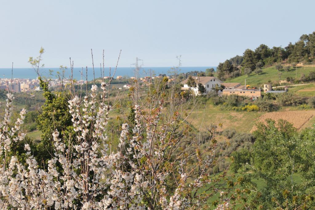 B&B Azzurra Пескара Экстерьер фото